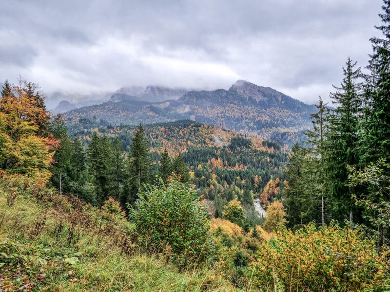 Eine malerische Aussicht auf eine Berglandschaft mit dichten Wäldern in Herbstfarben unter einem bewölkten Himmel. Im Vordergrund sind grünes Gras und Büsche zu sehen, während die Bäume auf den Hügeln leuchtende Herbstfarben zeigen. Nebel hüllt die Berge in der Ferne ein.
