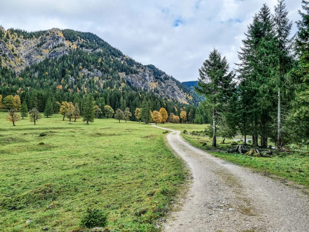 Ein gewundener Feldweg führt durch ein üppig grünes Tal mit verstreuten immergrünen und laubabwerfenden Bäumen. Im Hintergrund erheben sich bewaldete Berge unter einem teilweise bewölkten Himmel und zeigen Flecken von Herbstfarben.
