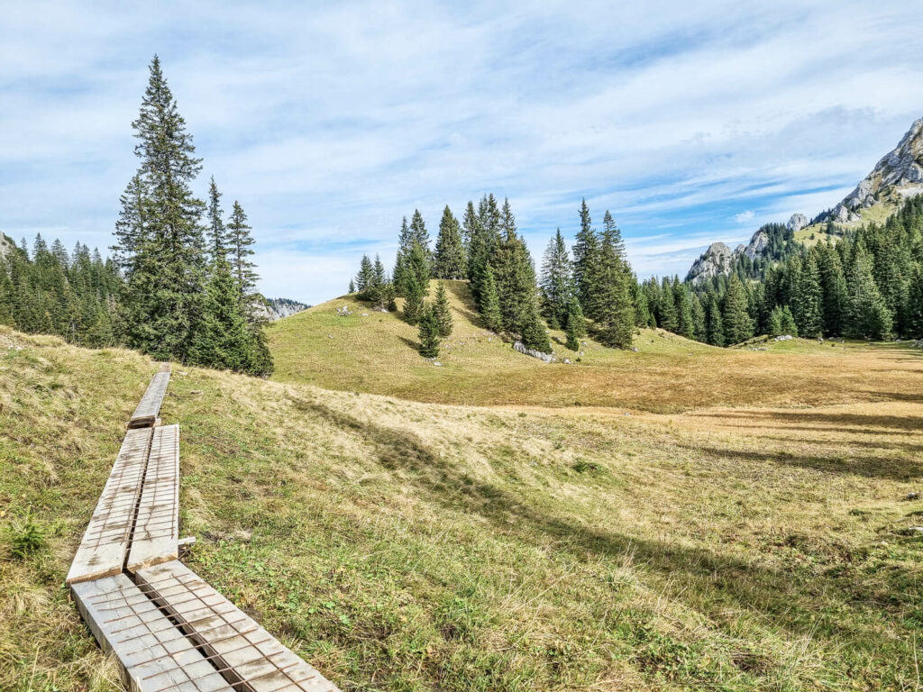 Eine malerische Landschaft mit einem Holzweg, der über eine mit immergrünen Bäumen übersäte Graswiese führt. Im Hintergrund sind sanfte Hügel und Felsvorsprünge unter einem teilweise bewölkten Himmel zu sehen.
