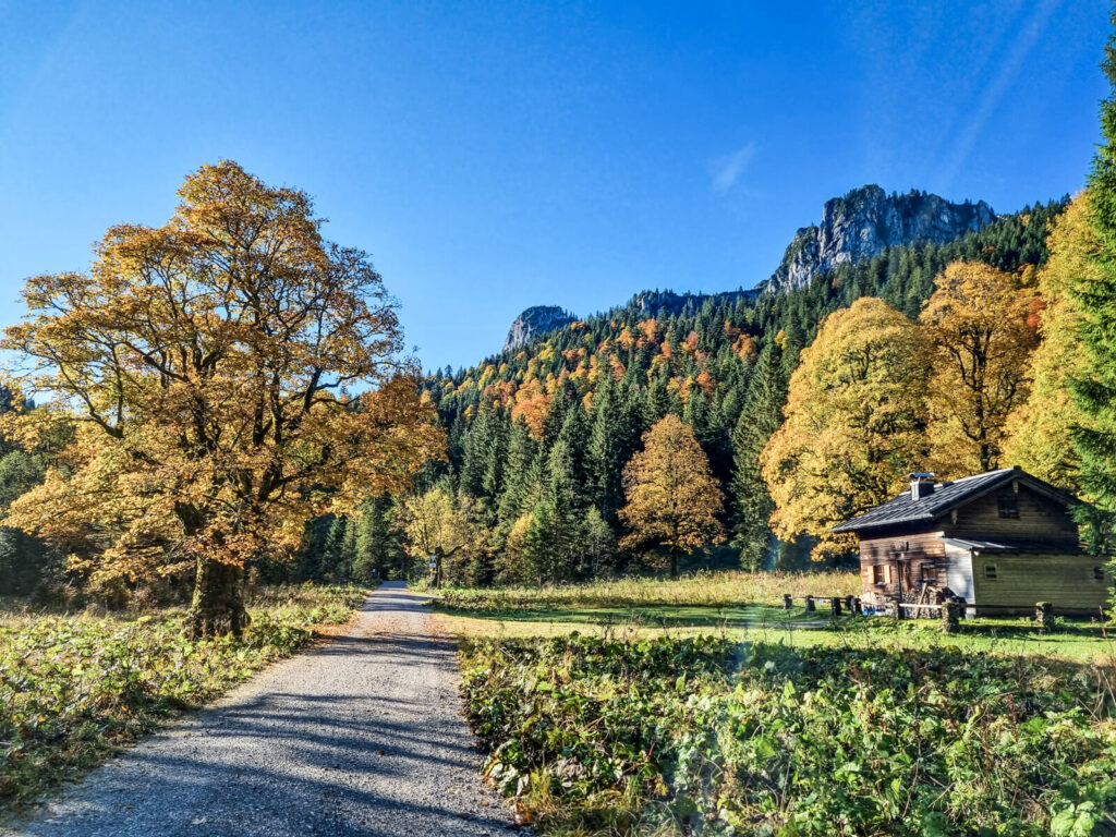 Eine malerische Landschaft mit einem Schotterweg, der zu einer Holzhütte auf der rechten Seite führt. Das Gebiet ist von Bäumen mit Herbstlaub umgeben und im Hintergrund sind bewaldete Berge unter einem klaren blauen Himmel zu sehen.
