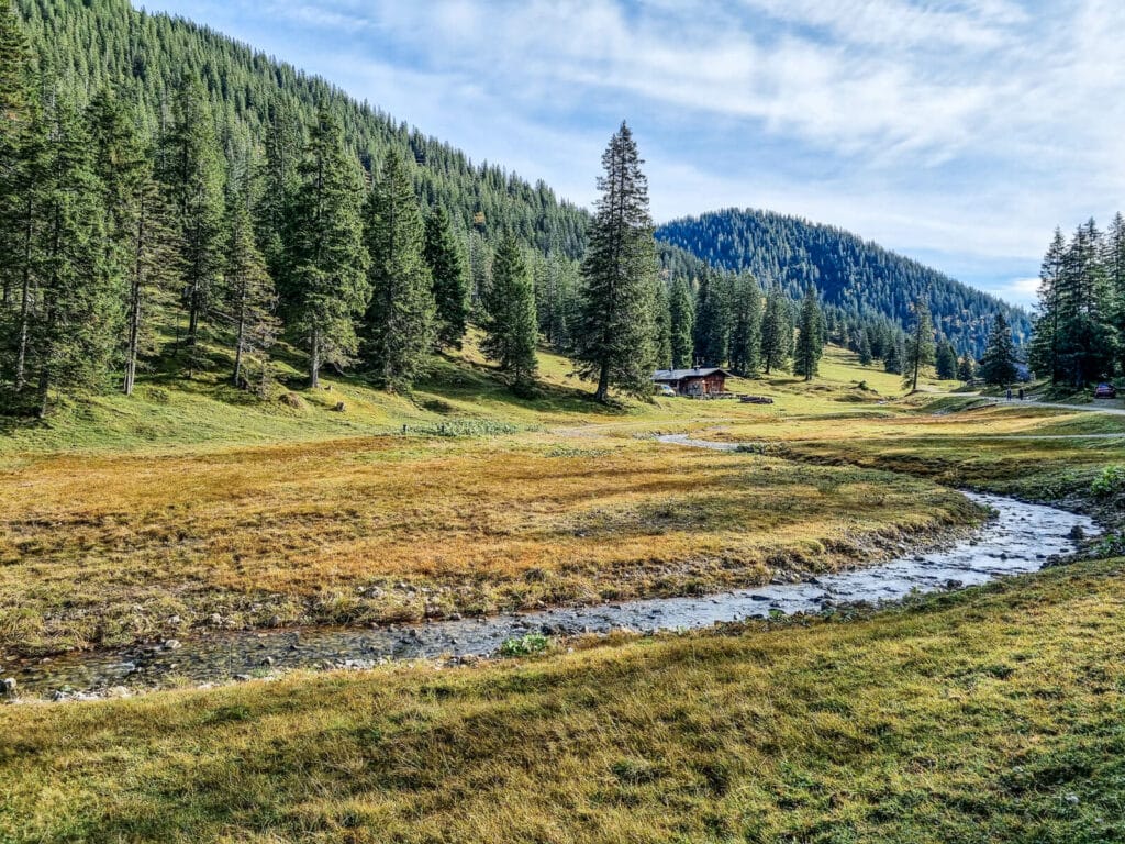 Eine malerische Landschaft mit einem üppigen, grünen Tal, durch das sich ein kleiner Bach schlängelt. Hohe Kiefern und sanfte Hügel umgeben das Gebiet unter einem teilweise bewölkten blauen Himmel. Im Hintergrund liegt zwischen den Bäumen eine rustikale Hütte.
