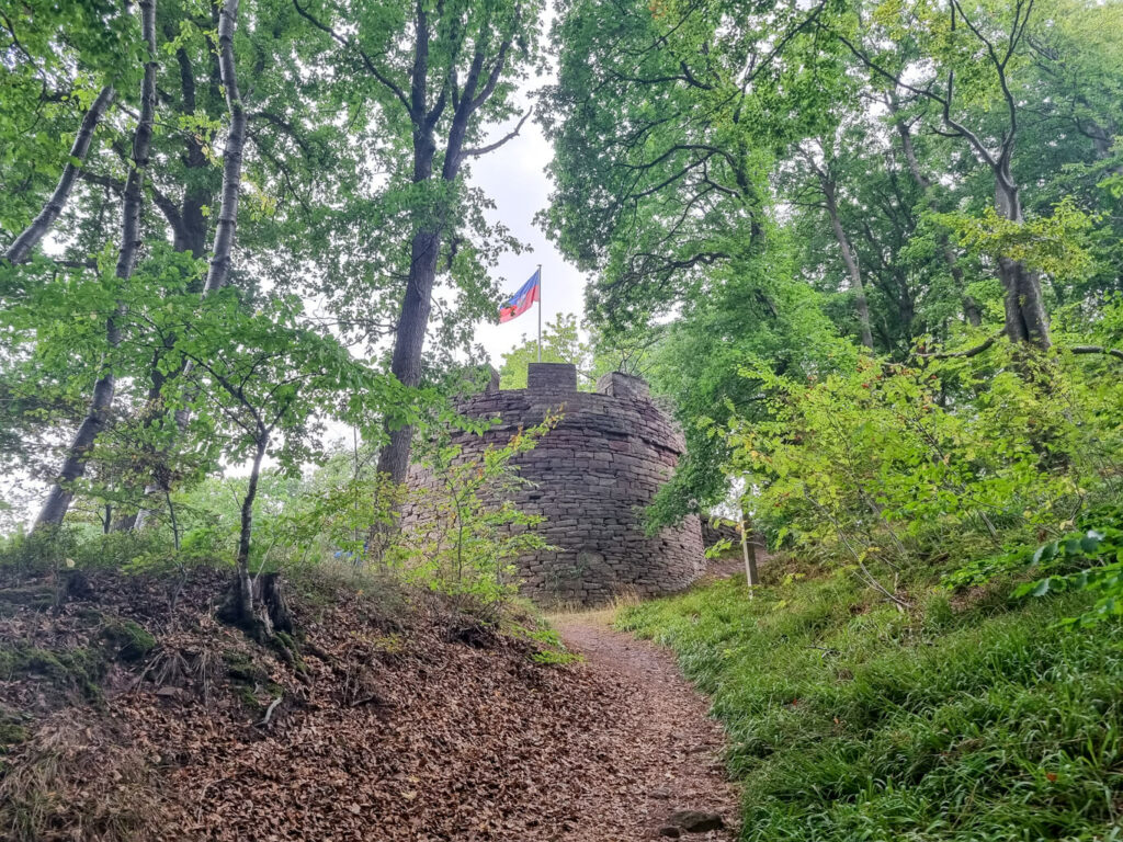 Bild zeigt einen Wanderweg im Wald mit Blick auf einen höher gelegenen Turm mit Zinnen und einer Fahne