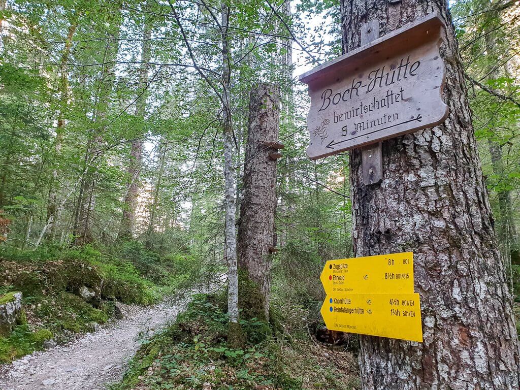 Wegweiser zum Wanderweg an einem Baum - links der Wanderweg im Wald